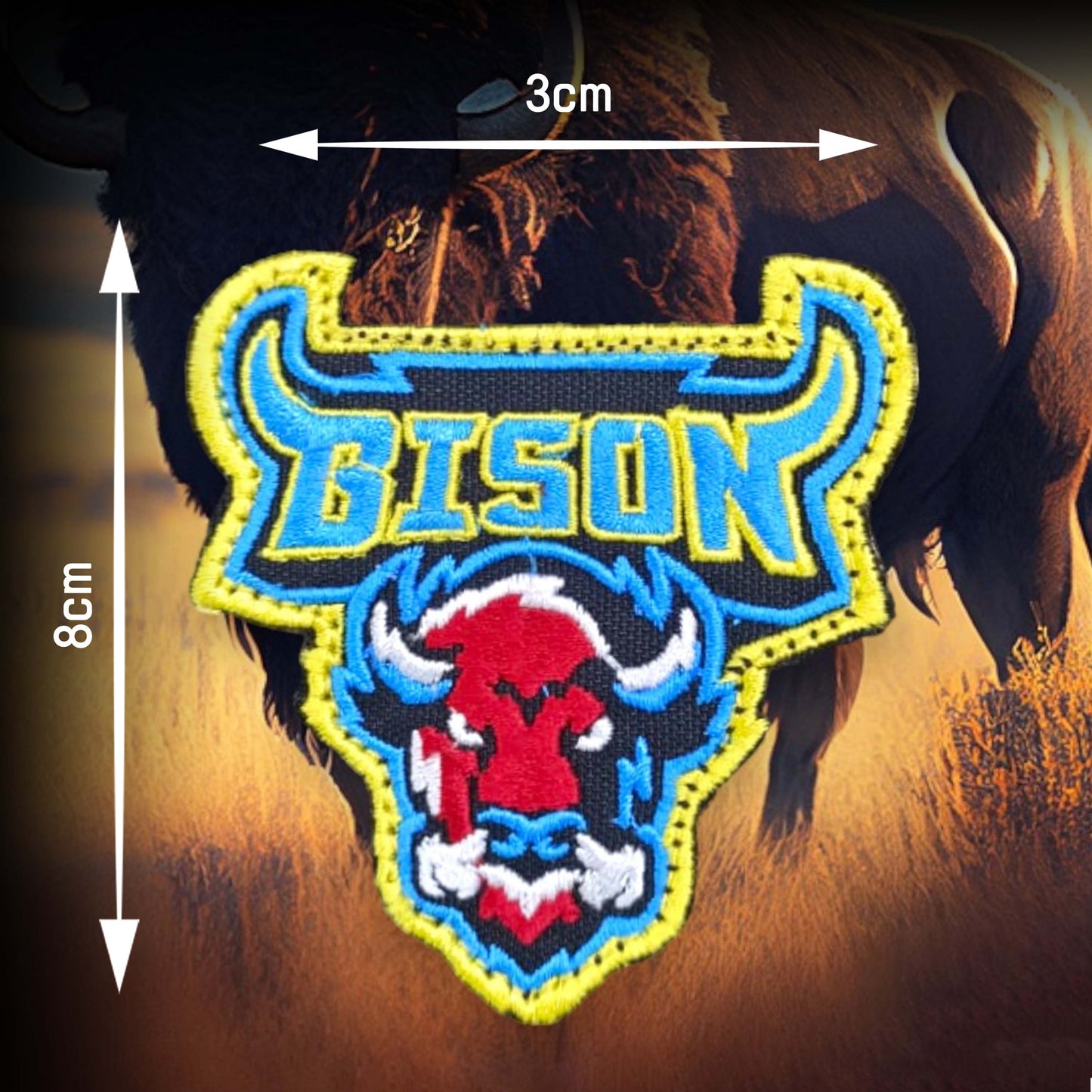 P38 | AFA | BRAR SQUADRON | BISONS PATCH