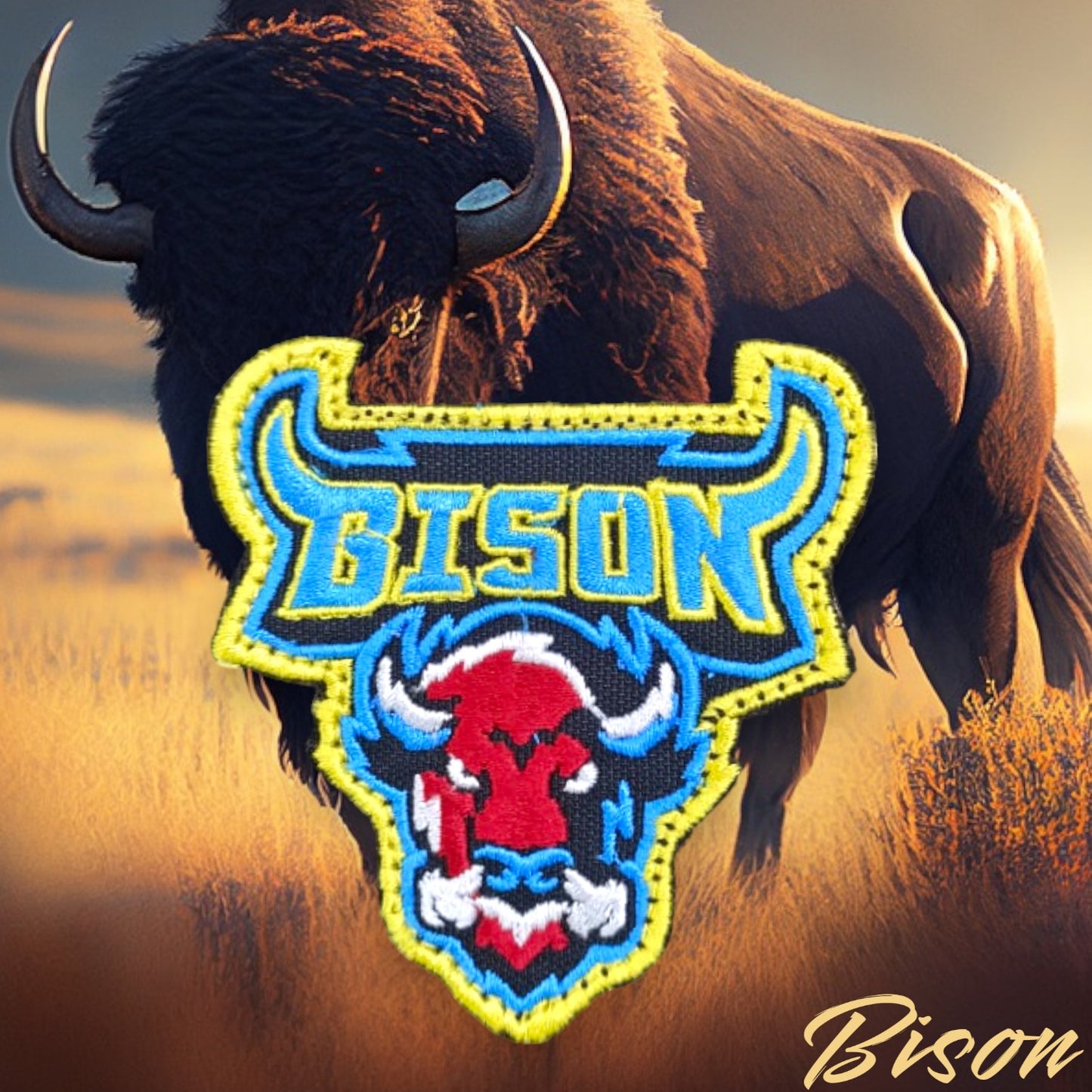 P38 | AFA | BRAR SQUADRON | BISONS PATCH