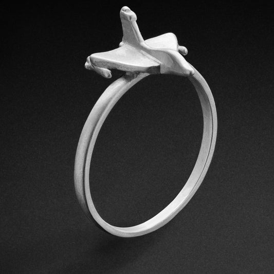 Artificial Rings Of Tejas Aricraft